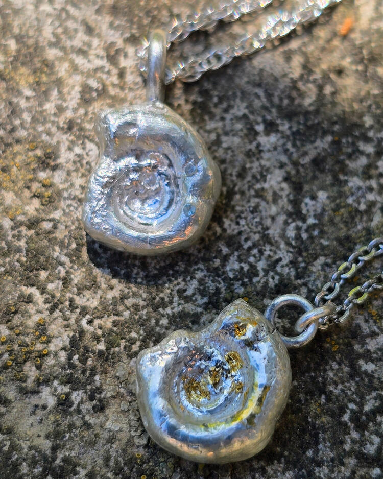 Stardust and Golden Ammonite | Lithos