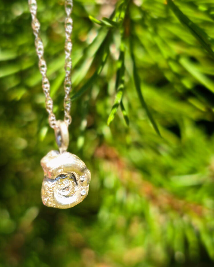 Stardust Ammonite | Lithos