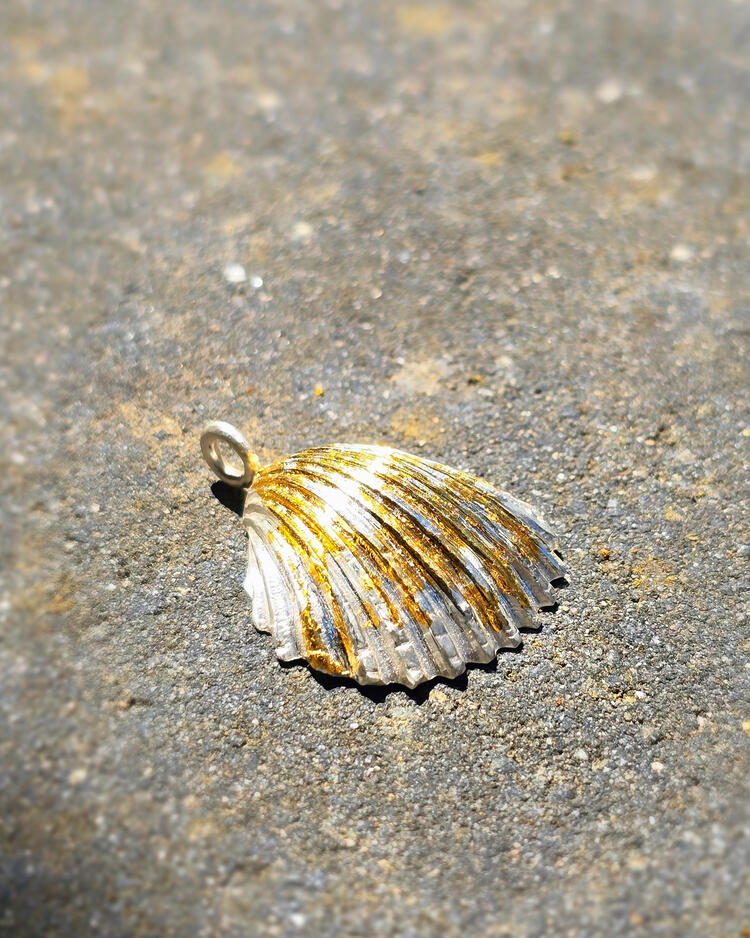 Shell with a Secret | Lithos