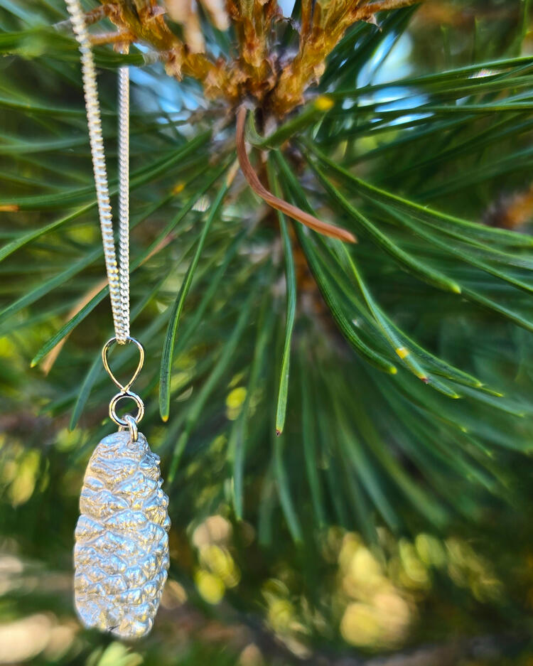 WorryCone | Botanic